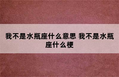 我不是水瓶座什么意思 我不是水瓶座什么梗